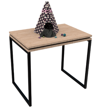 Mesa Expositora