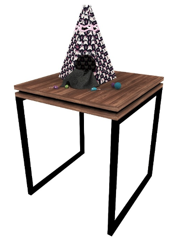 Mesa Expositora
